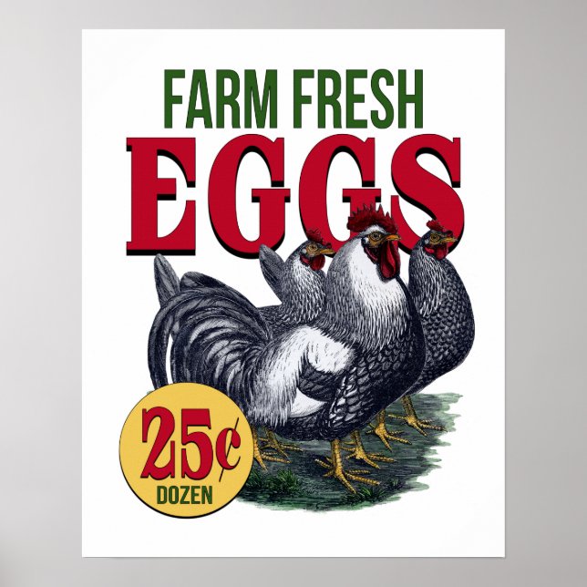 Poster Agritourisme Français Coq OEufs Frais Publicité Im (Devant)