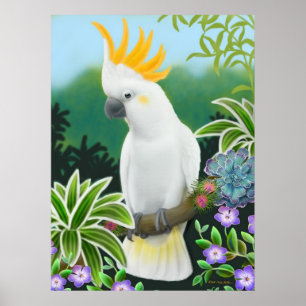 Poster Agro-Citron Cockatoo Parrot Imprimer