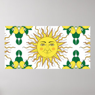 Poster agrumes tropicaux citrons fruits à fleurs encadren