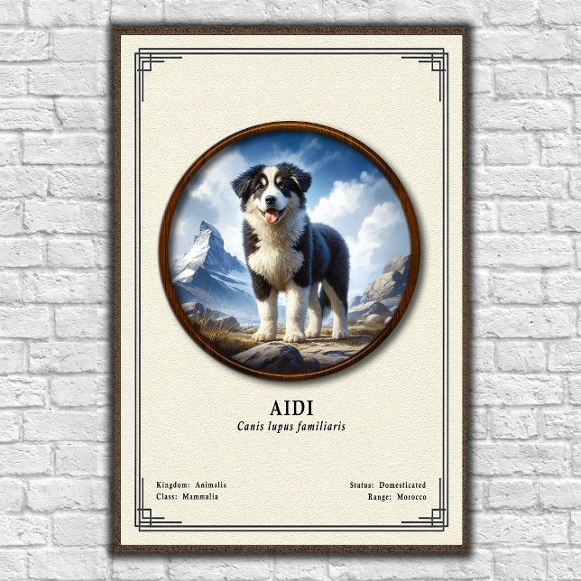 Poster Aidi Zoology Series (Créateur téléchargé)