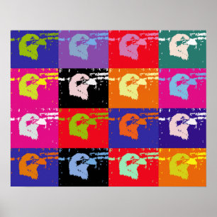 POSTER AIGLE