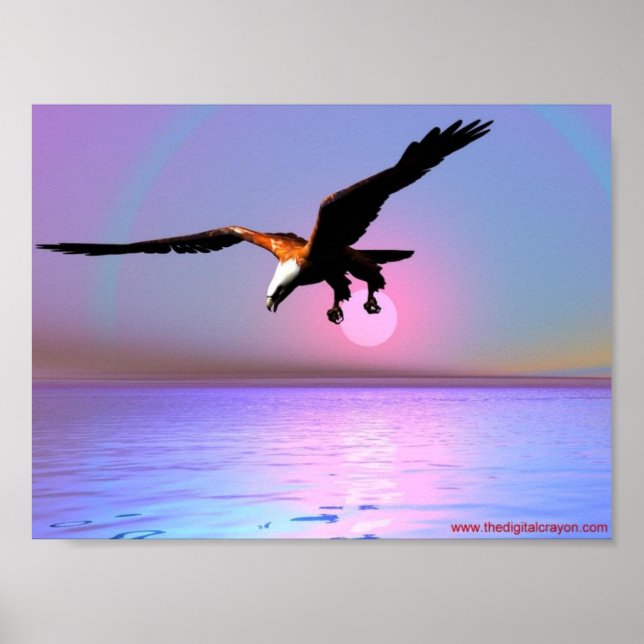 Poster Aigle (Devant)