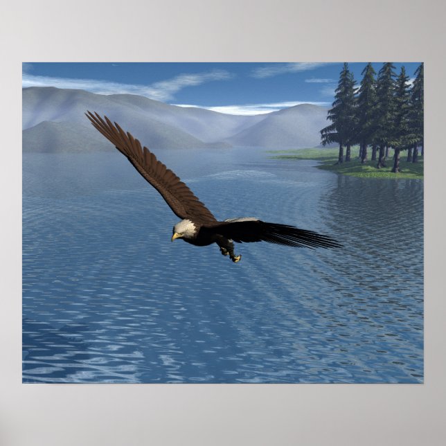 Poster Aigle (Devant)