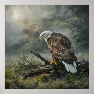 Poster Aigle 1