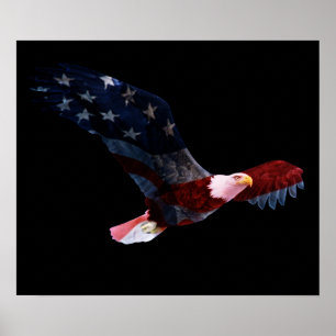 Poster Aigle à drapeau américain