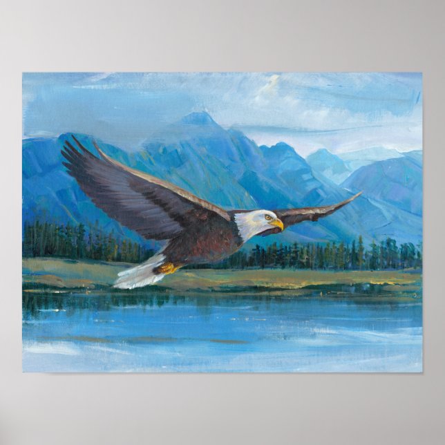 Poster Aigle à tête blanche (Devant)