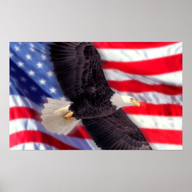 Poster Aigle américaine avec drapeau américain (Devant)
