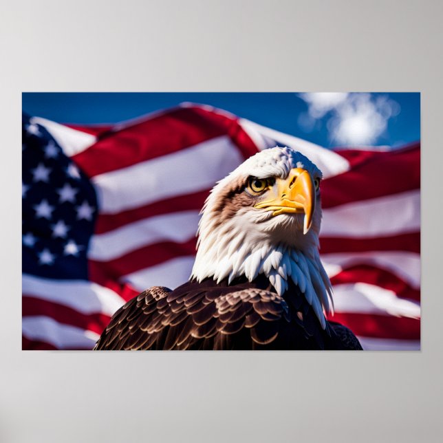 Poster Aigle Américana (Devant)