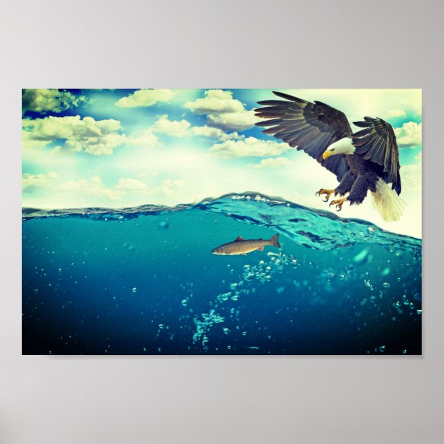 Poster Aigle attrapant un poisson (Devant)