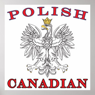 Poster Aigle blanc polonais
