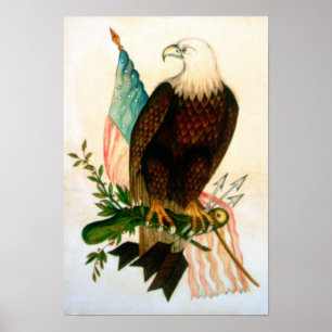 Poster Aigle chauve avec le drapeau