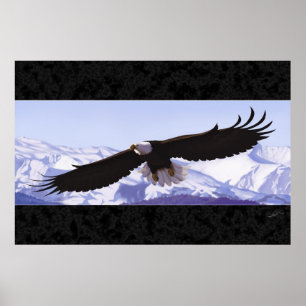 Poster Aigle de Bald