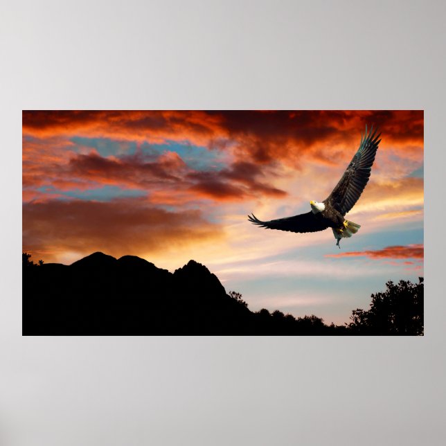 POSTER AIGLE DE CHASSE (Devant)