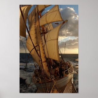 Poster Aigle de la mer