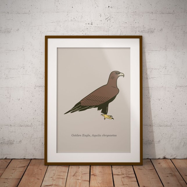 Poster Aigle d'or (Golden Eagle Framed Poster)