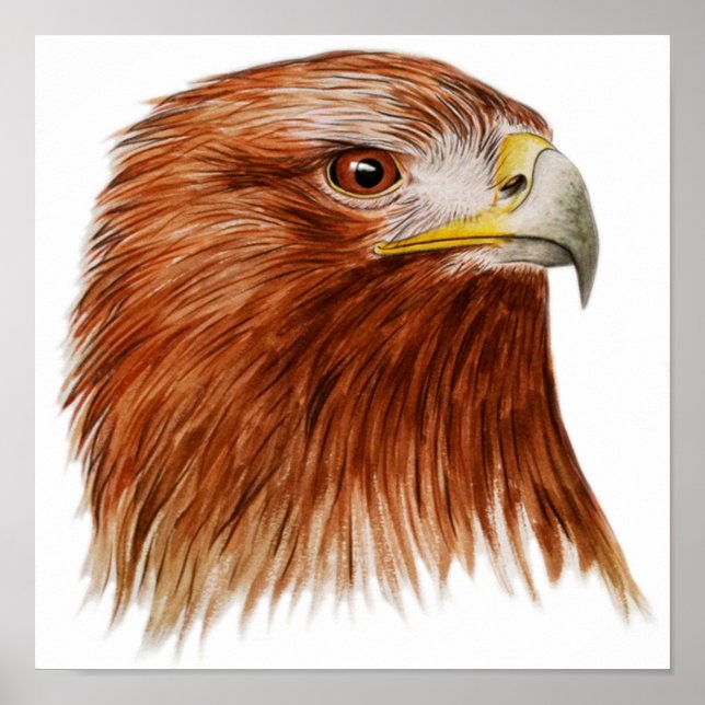 Poster Aigle d'or 2011 (Devant)
