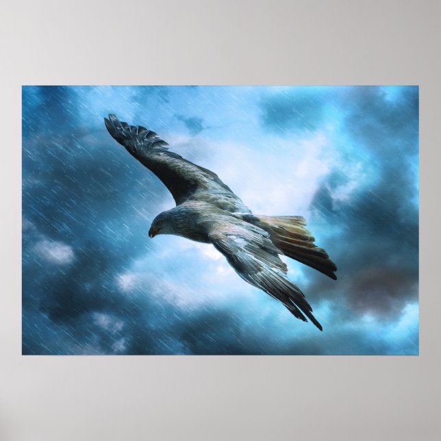 Poster Aigle en vol (Devant)