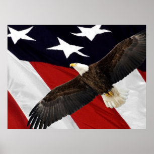 Poster Aigle en vol au-dessus du drapeau américain