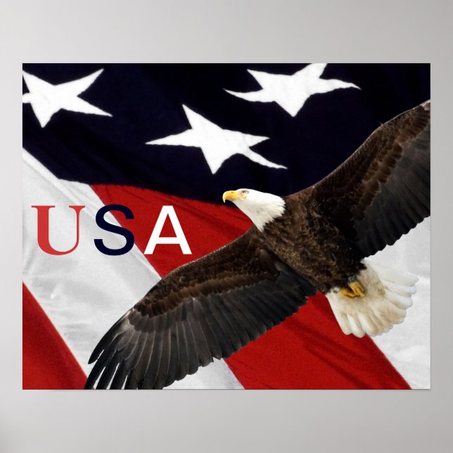 Poster Aigle et drapeau américain USA (Devant)