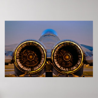 Poster Aigle F-15