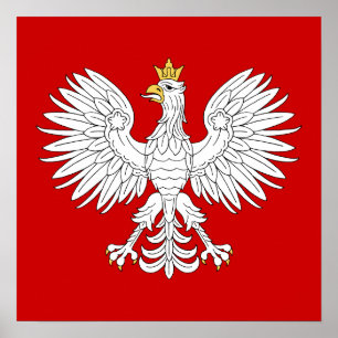 Poster Aigle polonais