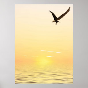 Poster Aigle volant