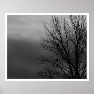 Poster Aigles dans l'arbre