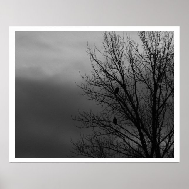 Poster Aigles dans l'arbre (Devant)
