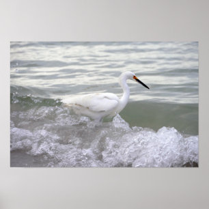 Poster Aiguille neigeuse dans le Surf