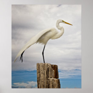 Poster Aiguille talentueuse Fort Myers Beach, Floride