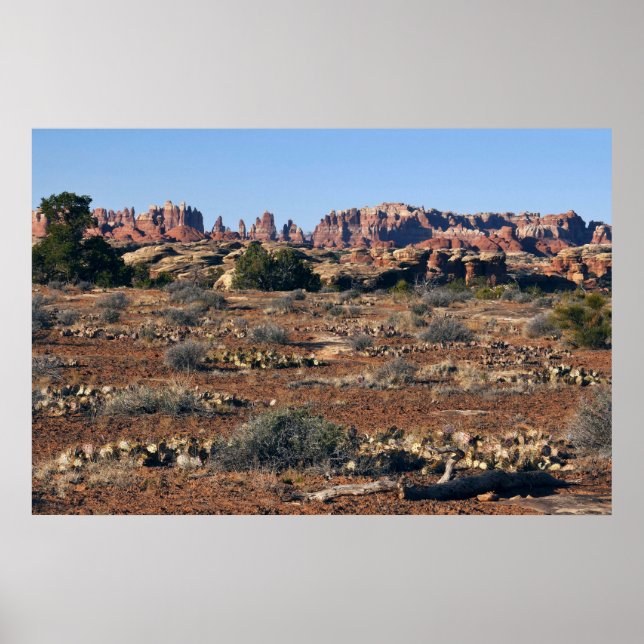 Poster Aiguilles du sentier Pothole Point à Canyonlands (Devant)