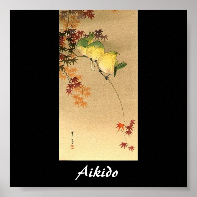 Poster Aikido Japonais Martial Art (Devant)