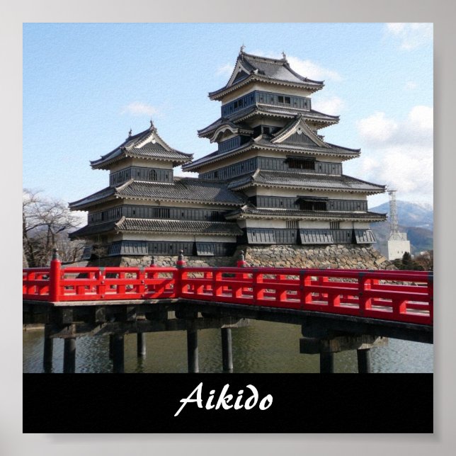 Poster Aikido Japonais Martial Art (Devant)