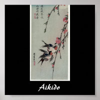 Aikido Japonais Martial Art