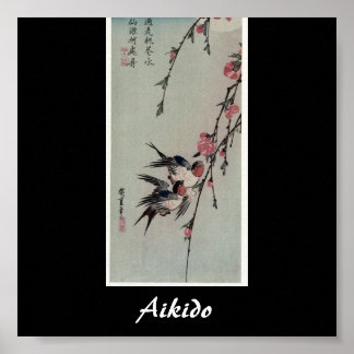 Poster Aikido Japonais Martial Art