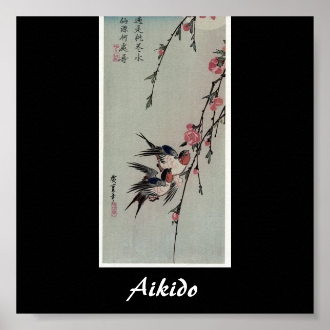 Poster Aikido Japonais Martial Art (Devant)