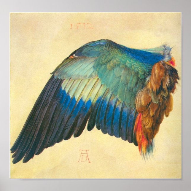 Poster Aile de Blaurake par Albrecht Durer (Devant)