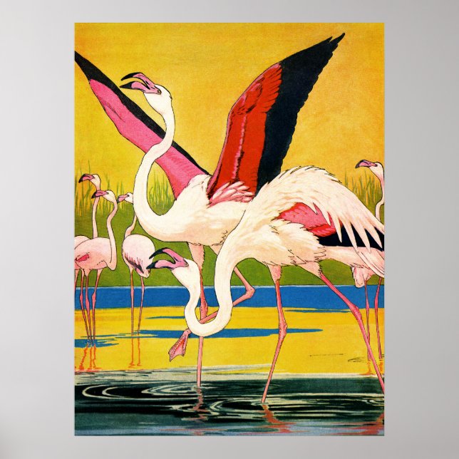 Poster ailes (Devant)