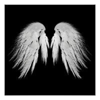 AILES D'ANGE Noir