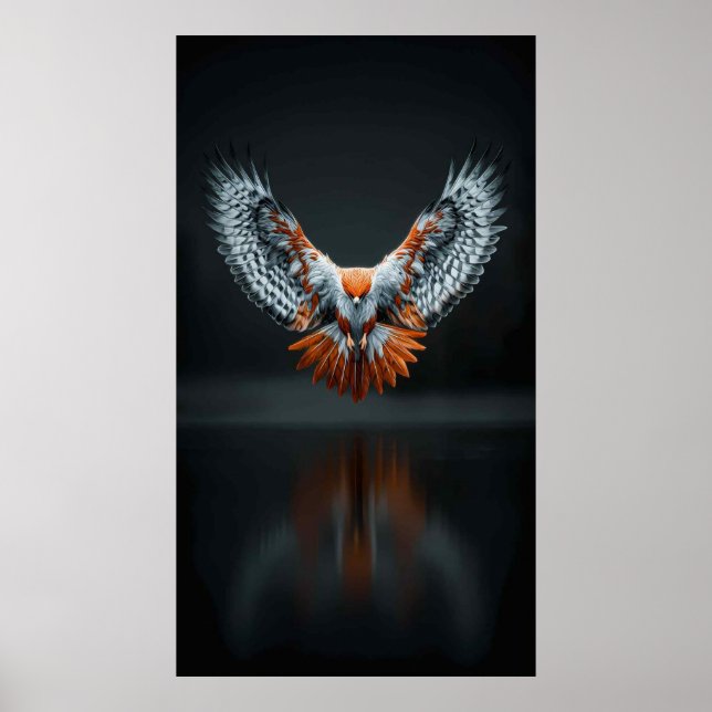 Poster Ailes de feu et d'ombre (Devant)