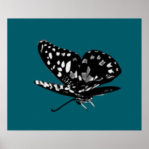 Poster Ailes Diamonées