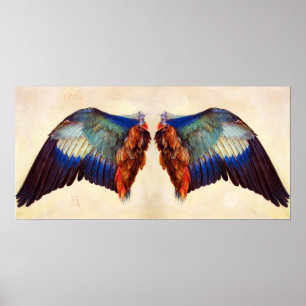 POSTER AILES D'UN ROULEUR EUROPÉEN