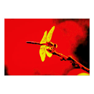 Poster Ailes jaunes