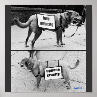 Poster Aimer les animaux