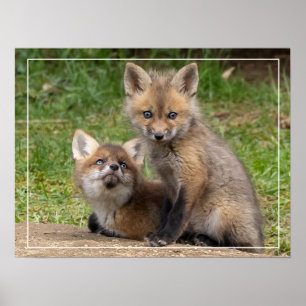 Poster Aimer les yeux