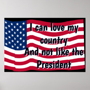 Poster Aimer son pays, pas le président