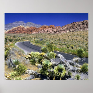 Poster Aire nationale de conservation du canyon de Red Ro