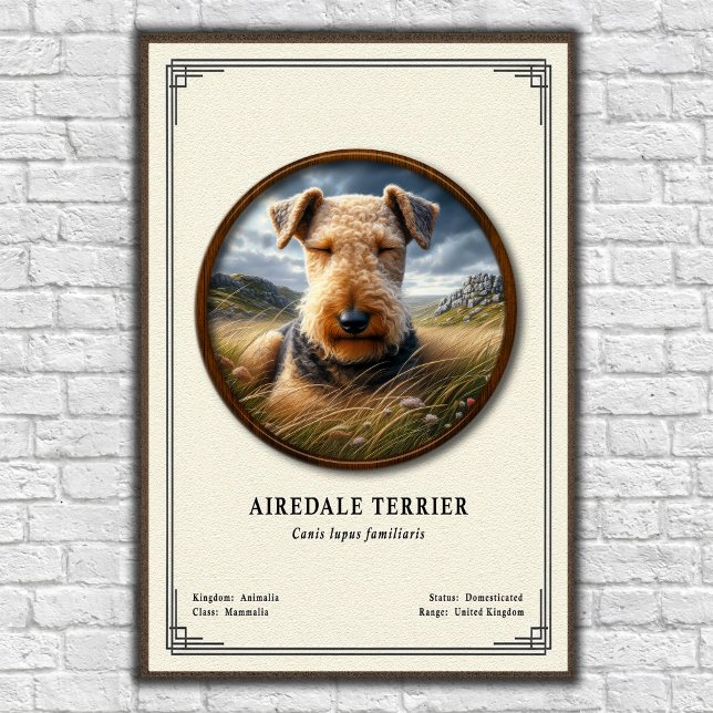 Poster Airedale Terrier Zoology Series (Créateur téléchargé)