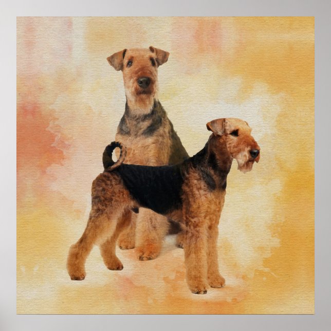 Poster Airedale Terriers Digital Art (Devant)