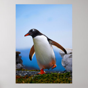 Poster Ajouter Votre Propre Modèle photo Image Cadeaux Pe